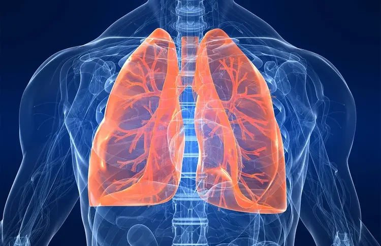 Respiratory & Chest Problems
